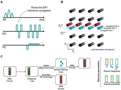 Dynamic off-resonance correction improves functional image analysis in fMRI of awake behaving non-human primates